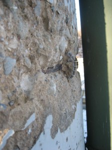 Wie lange ist da die Sicherheit noch gewährleistet?